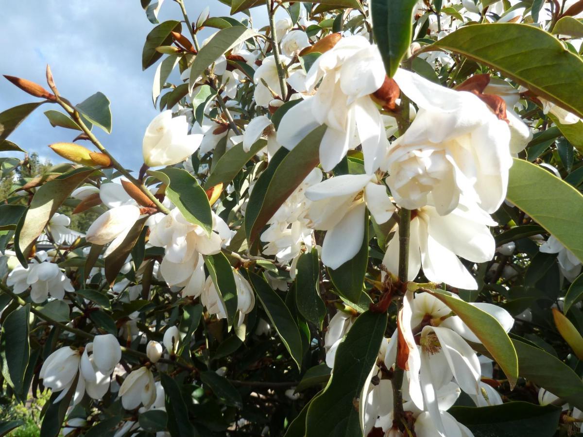 Redwood Valley B & B Richmond Bagian luar foto
